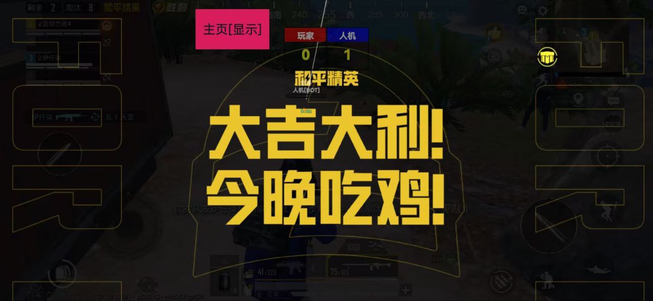 和平精英【路人追踪版】内核辅助